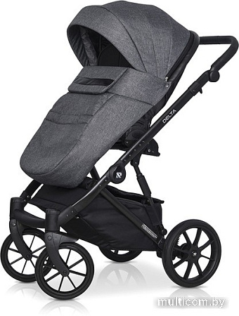 Универсальная коляска Riko Basic Delta (3 в 1, 05/carbon)