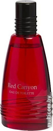 Туалетная вода Real Time Red Canyon Men EdT (100 мл)