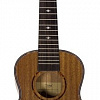 Укулеле Tom TUC-200