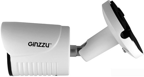 IP-камера Ginzzu HIB-4031O