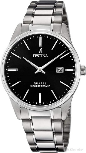 Наручные часы Festina F20511-4