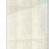 Душевая стенка WeltWasser WW400 120H-2