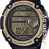 Наручные часы Casio AE-3000W-9AVEF