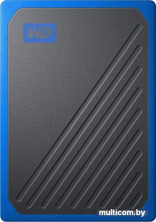 Внешний накопитель WD My Passport Go 1TB WDBMCG0010BBT