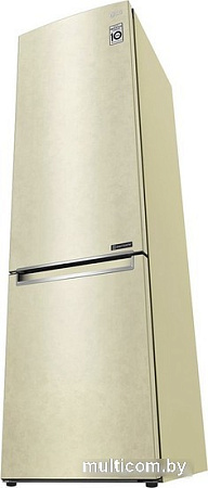 Холодильник LG DoorCooling+ GC-B509SECL