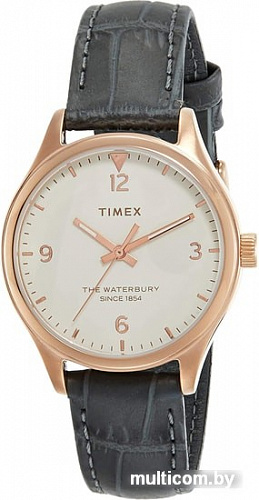 Наручные часы Timex TW2R69600