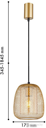 Подвесная люстра F-Promo 4348-1P