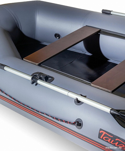 Моторно-гребная лодка Leader Boats Тайга-290-М 2912021 (серый)