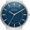 Наручные часы Skagen SKW6234