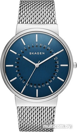 Наручные часы Skagen SKW6234