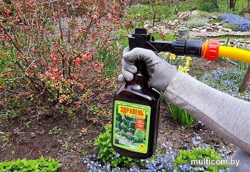 Распылитель АКВА-Стрим Здравень