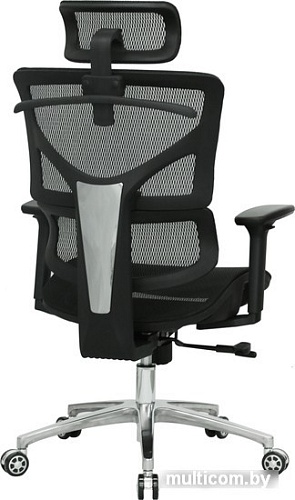 Кресло Evolution ERGO Mesh (черный)