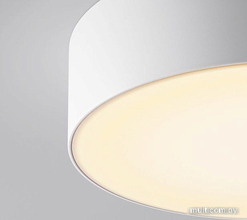 Уличный подвесной светильник Maytoni Zon IP O431CL-L30W3K