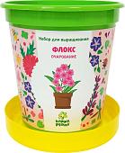 Набор для опытов Happy plant Флокс очарование hpn-29