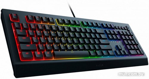 Клавиатура Razer Cynosa v2