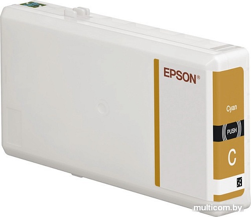 Картридж Epson C13T79024010