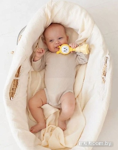 Интерактивная игрушка Bert Toys Зайчик няня 4630017723577 (желтый)