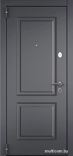 Torex Tau LT PP1 (86x205, левая)