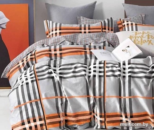 Постельное белье GoodNight Сатин Делюкс В113 Дуэт В113dt (50x70, с компаньоном)