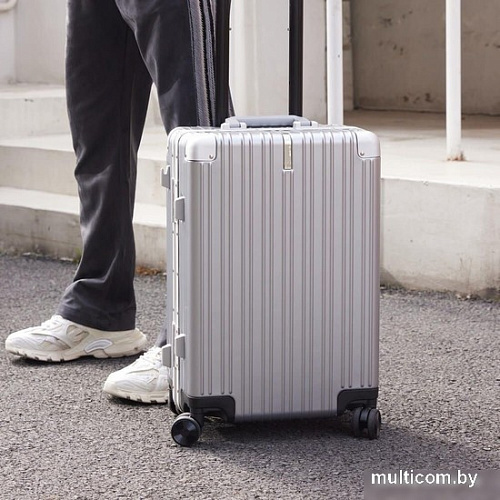 Чемодан-спиннер Ninetygo All-round Guard Luggage 20&quot; (серебристый)