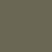 Фон для съемки Falcon Eyes BackDrop 2.72x10 (хаки)