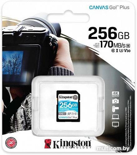 Карта памяти Kingston Canvas Go! Plus SDXC 256GB