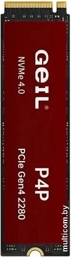 SSD GeIL P4P 1TB P4PDC23C1TBA