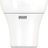 Светодиодная лампа Gauss LED Elementary A60 15W E27 6500K 23235