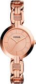 Наручные часы Fossil BQ3206