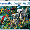 Пазл Ravensburger Коалы на дереве 14826 (500 эл)