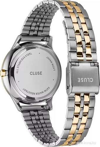 Наручные часы Cluse CW14302
