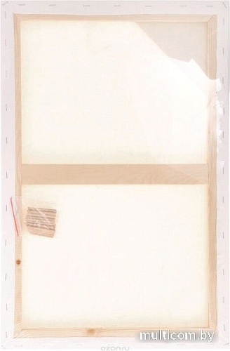 Холст для рисования Малевичъ На подрамнике 213060 (30х60см, хлопок)