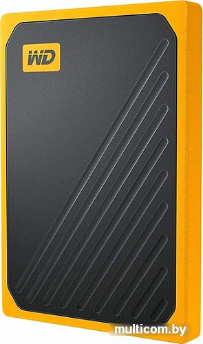 Внешний накопитель WD My Passport Go 500GB WDBMCG5000AYT