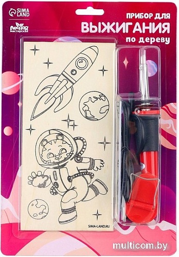 Набор для выжигания Лесная мастерская Космос 7917327