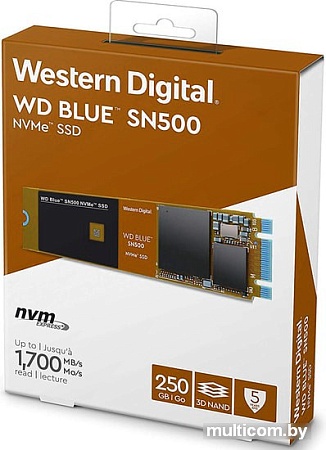 SSD WD Blue SN500 250GB WDS250G1B0C