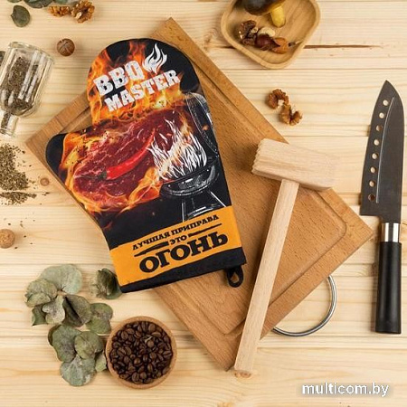 Подарочный набор Доляна Bbq Master 4654920