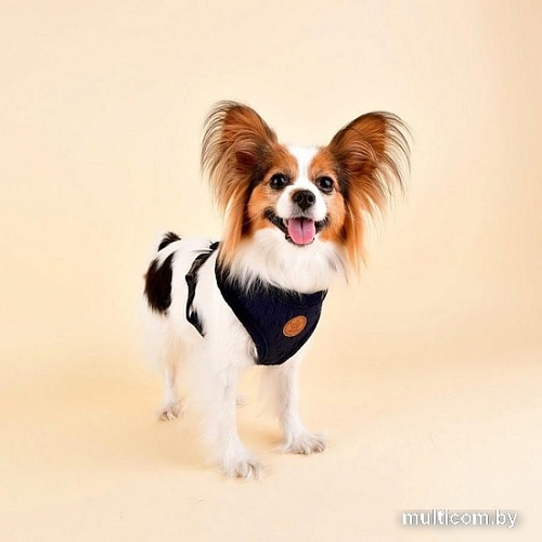 Шлейка Pinkaholic Polina NASD-HA7506-NY-M (синий)