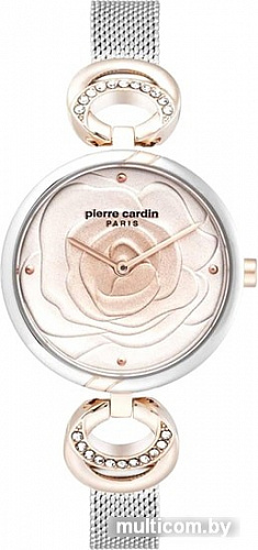 Наручные часы Pierre Cardin PC902762F02