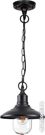 Уличный подвесной светильник Odeon Light Campa 4965/1