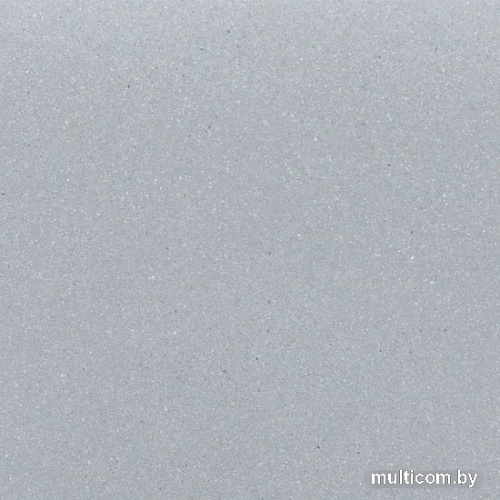 Кухонная мойка Wisent 510-29W (с сифоном GER013)