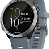Умные часы Garmin Forerunner 645 (бежевый)