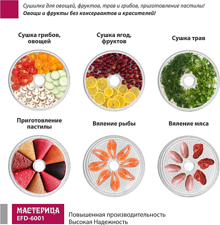 Мастерица EFD-6001