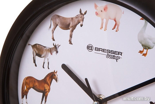 Настенные часы Bresser Junior (белый/черный)