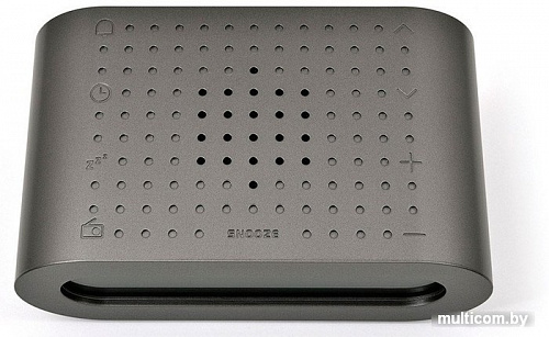 Радиочасы Oregon Scientific RRM116 (черный)