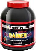 Протеин Академия-Т Sportein Gainer (2500г, клубника)