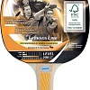 Ракетка для настольного тенниса Donic-Schildkrot Legends 200 705221