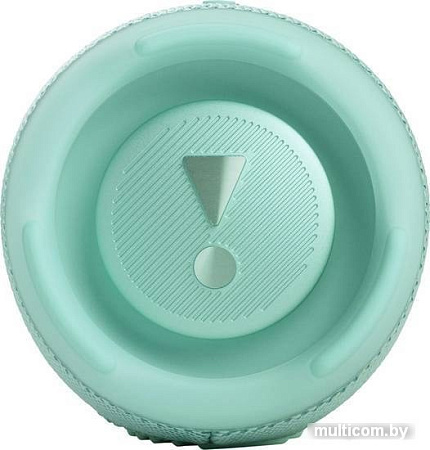 Беспроводная колонка JBL Charge 5 (бирюзовый)