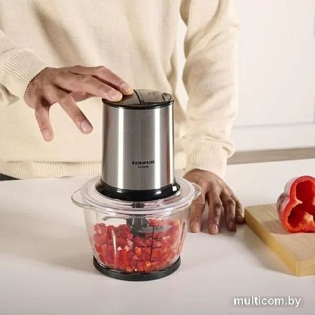 Чоппер Taurus Eloane