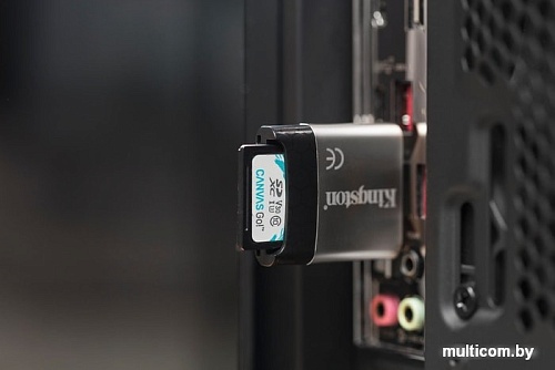 Карта памяти Kingston Canvas Go! SDG/256GB SDXC 256GB