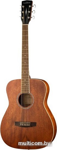 Акустическая гитара Parkwood PF51M-WBAG-OP